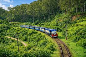 Ooty Hills & Tea Estates Escape